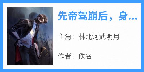 林北河武明月《先帝驾崩后，身为奸臣的我不演了》小说完整版