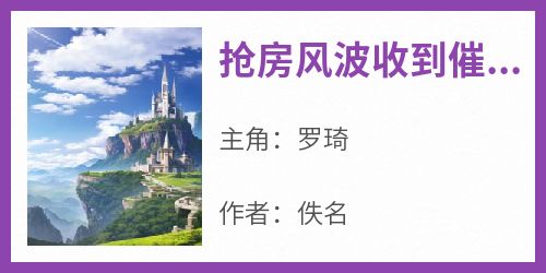 《抢房风波收到催收水电费》小说免费阅读 罗琦大结局完整版