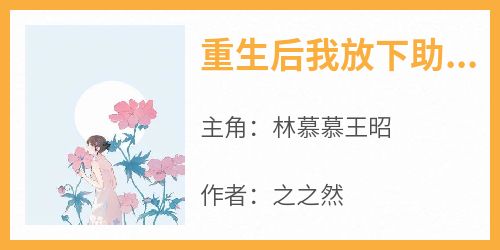 重生后我放下助人情节让嫂子生下瓷娃娃(林慕慕王昭)全文章节在线阅读