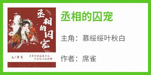 《丞相的囚宠》慕绥绥叶秋白小说完整在线阅读