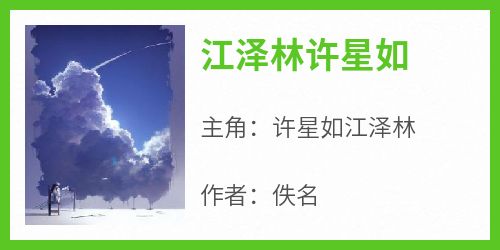 许星如江泽林全文阅读最新 许星如江泽林小说目录