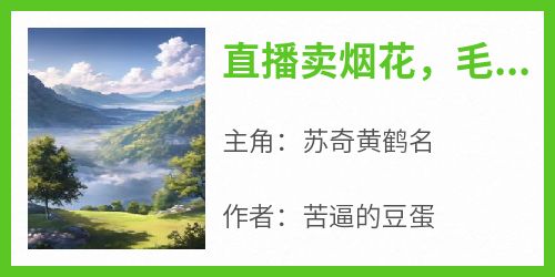 直播卖烟花，毛熊买去炸鹰酱？(苦逼的豆蛋)最佳创作小说全文在线阅读