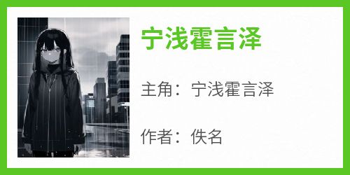 宁浅霍言泽小说最新章节-主角宁浅霍言泽全文免费阅读