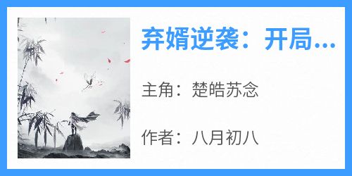 楚皓苏念小说<弃婿逆袭：开局长生不死！>全文在线阅读