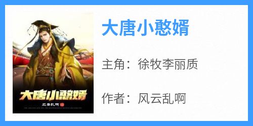 完整版《大唐小憨婿》徐牧李丽质小说免费在线阅读