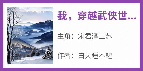 我，穿越武侠世界，成为人上人宋君泽三苏小说全文-我，穿越武侠世界，成为人上人小说