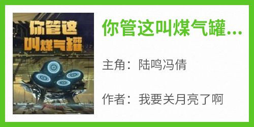 好文热推小说你管这叫煤气罐？主角陆鸣冯倩全文在线阅读