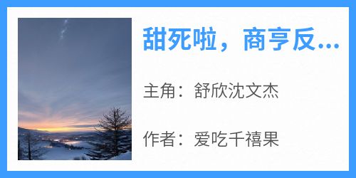 甜死啦，商亨反派的80病娇妻舒欣沈文杰免费阅读-甜死啦，商亨反派的80病娇妻爱吃千禧果小说