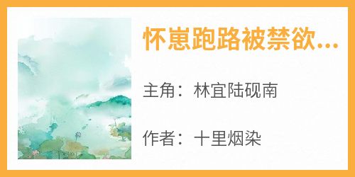 全网首发完整小说怀崽跑路被禁欲上司当场捕获主角林宜陆砚南在线阅读