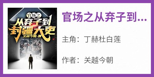 《官场之从弃子到封疆大吏》小说丁赫杜白莲最新章节阅读