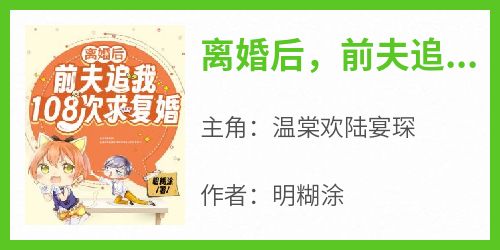 离婚后，前夫追我108次求复婚小说-温棠欢陆宴琛全篇阅读