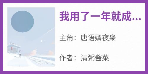 值得熬夜看完的我用了一年就成了黑帮大佬最宠的情人小说阅读