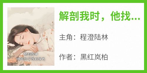 《解剖我时，他找到了我的婚戒》程澄陆林-小说txt全文阅读