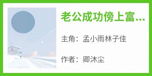 老公成功傍上富婆，却被骗光家产免费阅读全文，主角孟小雨林子佳小说完整版最新章节