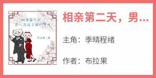 完整版《相亲第二天，男人变成了我的甲方》季晴程绪小说免费在线阅读