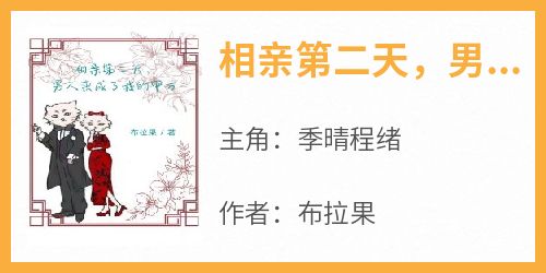 相亲第二天，男人变成了我的甲方在哪免费看，季晴程绪小说章节目录阅读