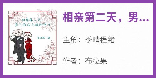 相亲第二天，男人变成了我的甲方主角是季晴程绪小说百度云全文完整版阅读