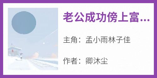 热门推荐老公成功傍上富婆，却被骗光家产by卿沐尘小说正版在线