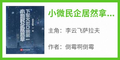 小微民企居然拿下军火出口榜第一李云飞萨拉夫大结局在线阅读