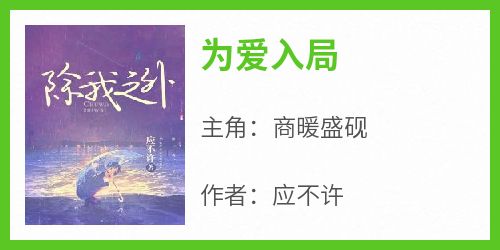 抖音爆款《为爱入局》商暖盛砚无广告阅读