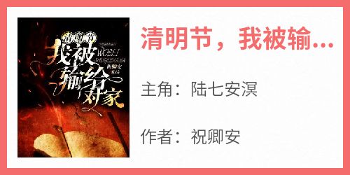 《清明节，我被输给对家》陆七安溟小说全章节最新阅读