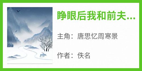 《睁眼后我和前夫恩断义绝》唐思忆周寒景by佚名免费看