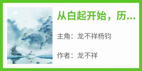 抖音小说从白起开始，历代名将陆续降临，主角龙不祥杨钧最后结局小说全文免费