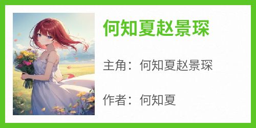 抖音爆款何知夏赵景琛完整小说（全文阅读）