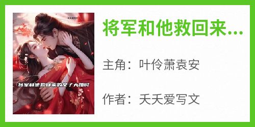 主角是叶伶萧袁安的小说将军和他救回来的女子大婚时最完整版热门连载