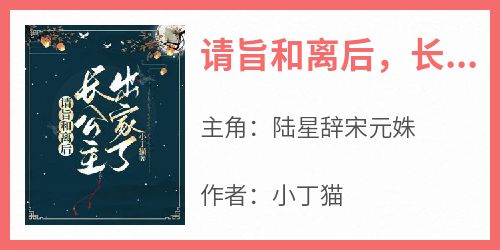 陆星辞宋元姝(原文完整)《请旨和离后，长公主出家了》无弹窗免费阅读