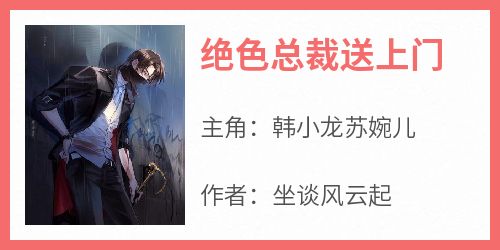 抖音爆款《绝色总裁送上门》韩小龙苏婉儿无广告阅读