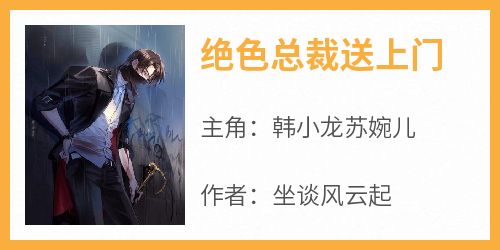 韩小龙苏婉儿《绝色总裁送上门》完结版小说全文免费阅读