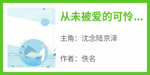 主角沈念陆京泽小说，从未被爱的可怜人免费阅读全文