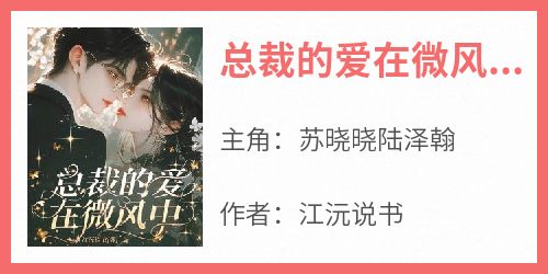 正版小说《总裁的爱在微风中》苏晓晓陆泽翰在线免费阅读