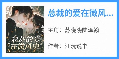 主角是苏晓晓陆泽翰的小说总裁的爱在微风中最完整版热门连载