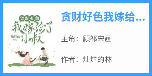 顾祁宋画灿烂的林小说全章节最新阅读