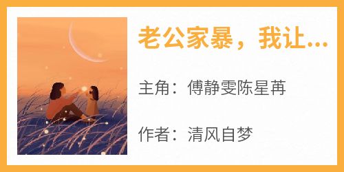 【老公家暴，我让他倾家荡产】主角(傅静雯陈星苒)在线阅读