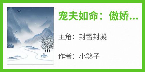 《宠夫如命：傲娇夫君哪里逃》封雪封凝大结局小说全章节阅读