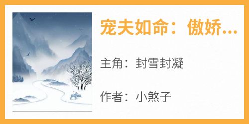 《宠夫如命：傲娇夫君哪里逃》封雪封凝免费全章节目录阅读