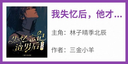 林子晴季北辰小说《我失忆后，他才开始爱我》免费阅读