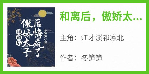 江才溪祁凛北小说《和离后，傲娇太子后悔疯了》免费阅读