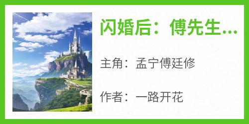 私藏读物《闪婚后：傅先生马甲藏不住了》孟宁傅廷修完结版免费阅读