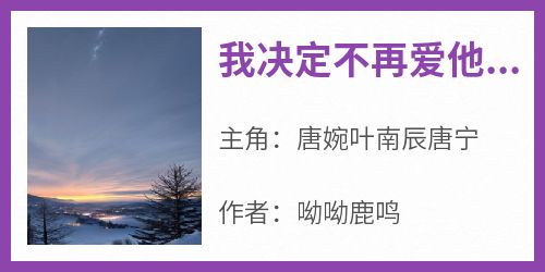 我决定不再爱他后，他后悔了在线全文阅读-主人公唐婉叶南辰唐宁小说