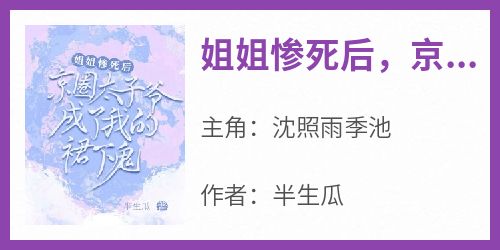 姐姐惨死后，京圈太子爷成了我的裙下鬼沈照雨季池小说全文章节阅读