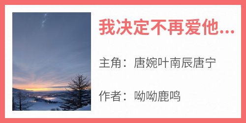 抖音爆款我决定不再爱他后，他后悔了小说免费阅读