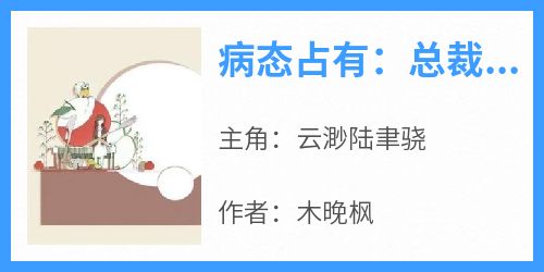 火爆病态占有：总裁的私有宝贝小说，主角是云渺陆聿骁在线阅读全文无删减