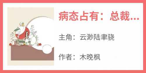 云渺陆聿骁(原文完整)《病态占有：总裁的私有宝贝》无弹窗免费阅读