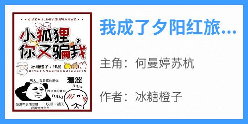 主角何曼婷苏杭小说爆款《我成了夕阳红旅行团团宠》完整版小说