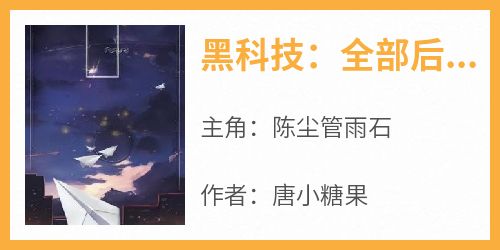 《黑科技：全部后退，我要生产光刻机》完整版-陈尘管雨石在线全文阅读