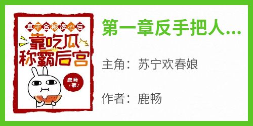 全本资源在线阅读《第一章反手把人贩子卖了》苏宁欢春娘